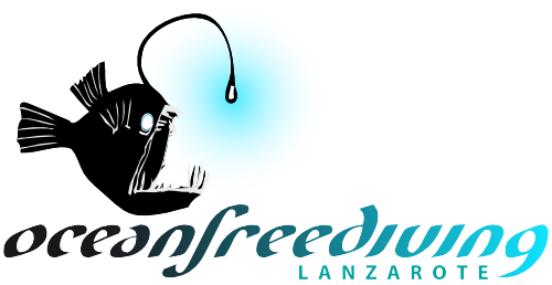 Ocean Freediving Lanzarote